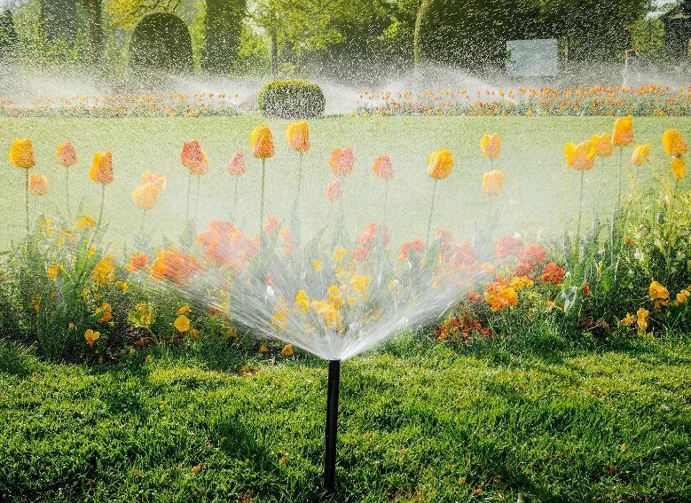 Sprinkler System